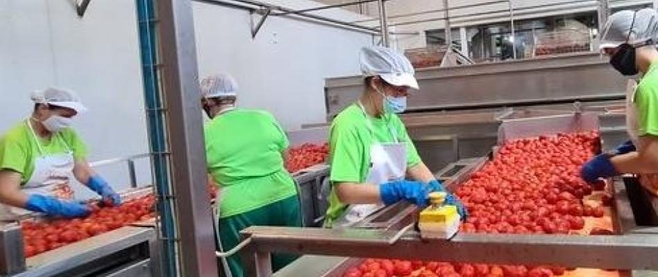 Trabajadoras en una empresa agroalimentaria